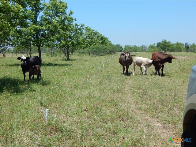 20441 Fm 2268, Holland, TX 76534