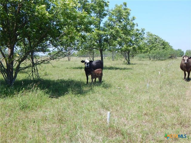 20441 Fm 2268, Holland, TX 76534