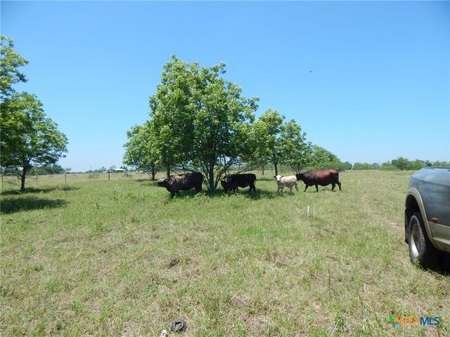 20441 Fm 2268, Holland, TX 76534