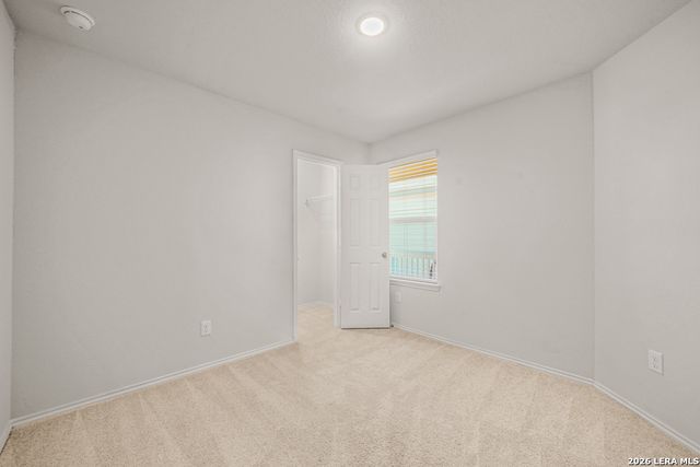 603 Wild Olive, San Antonio, TX 78219