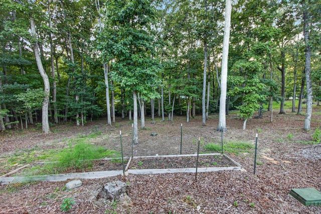 52 Ivy Ridge Court, Blue Ridge, GA 30513