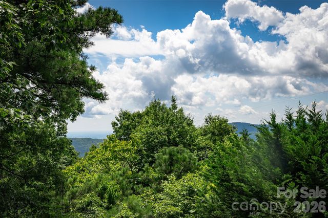 1795 Mckenzie Way N 505, Old Fort, NC 28762