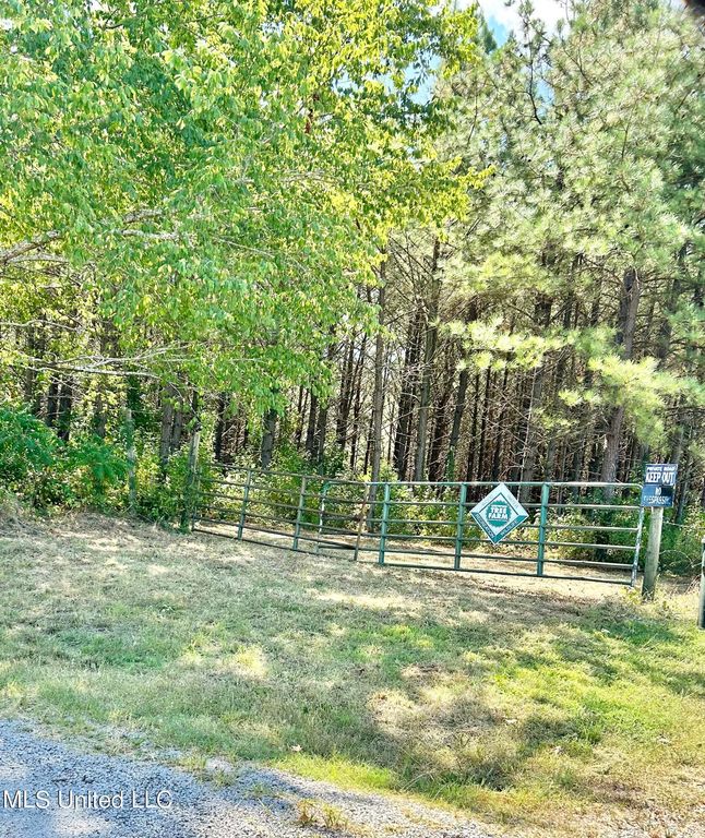 0 Graves Rd, Holly Springs, MS 38635 — photo 2