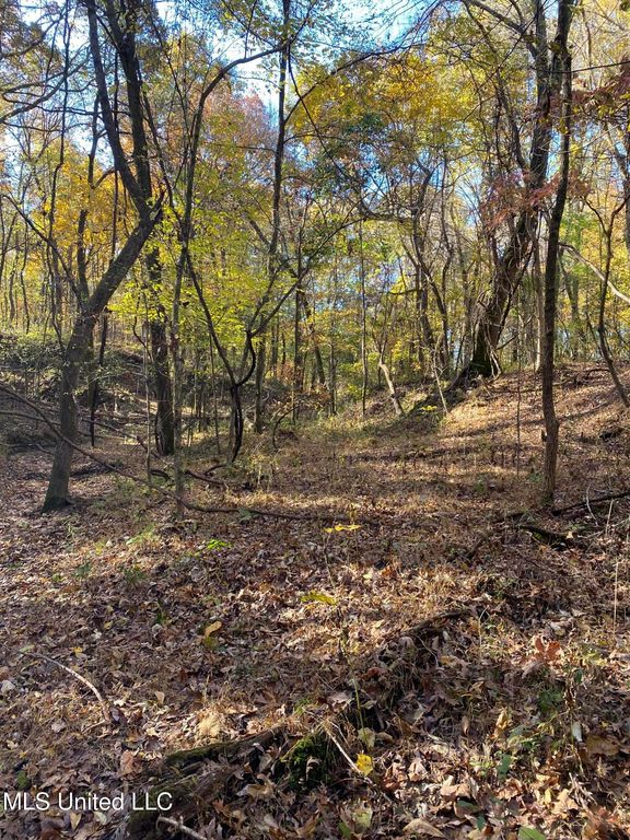 0 Graves Rd, Holly Springs, MS 38635 — photo 4