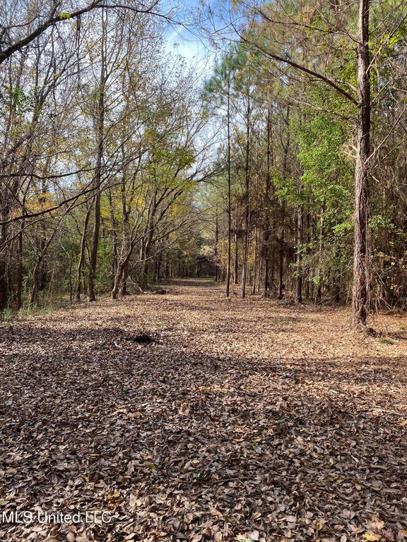 0 Graves Rd, Holly Springs, MS 38635 — photo 5