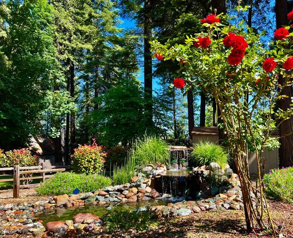 6775 Ridgeway Dr, Pollock Pines, CA 95726