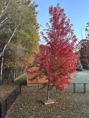 14545 Grand Oaks Drive, Baxter, MN 56425