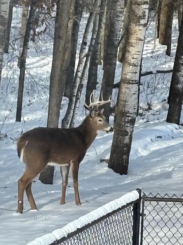 14545 Grand Oaks Drive, Baxter, MN 56425