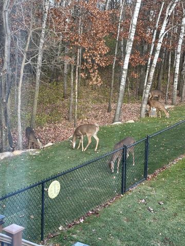 14545 Grand Oaks Drive, Baxter, MN 56425