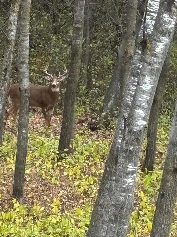 14545 Grand Oaks Drive, Baxter, MN 56425