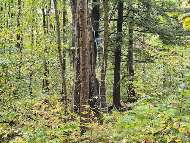 11481 Westdale Road, Florence, NY 13483