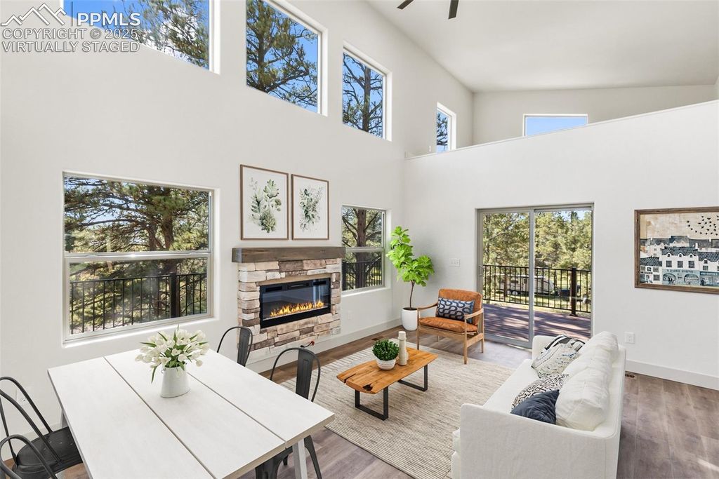 240 N Mountain Estates Road, Florissant, CO 80816 — photo 4