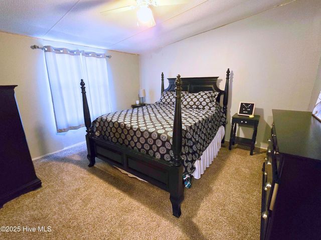 206 Clifton Ridge Drive, Pikeville, NC 27863