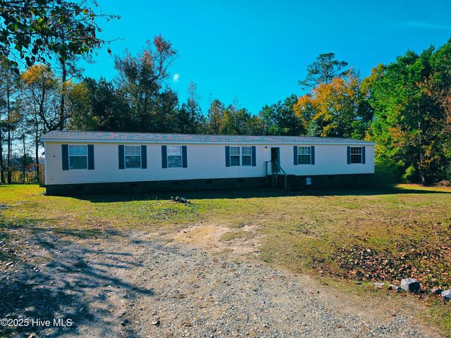 206 Clifton Ridge Drive, Pikeville, NC 27863
