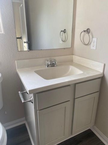 16707 Libson Falls Drive, Houston, TX 77095
