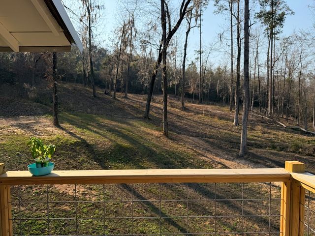 1393 Lakeshore Drive, Abbeville, AL 36310