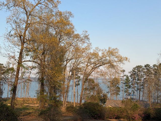 1393 Lakeshore Drive, Abbeville, AL 36310