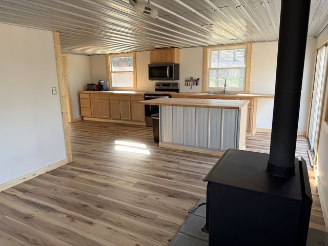 1393 Lakeshore Drive, Abbeville, AL 36310