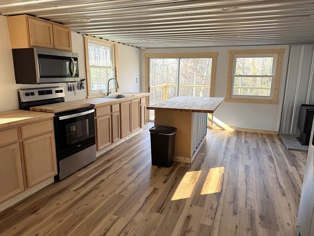 1393 Lakeshore Drive, Abbeville, AL 36310