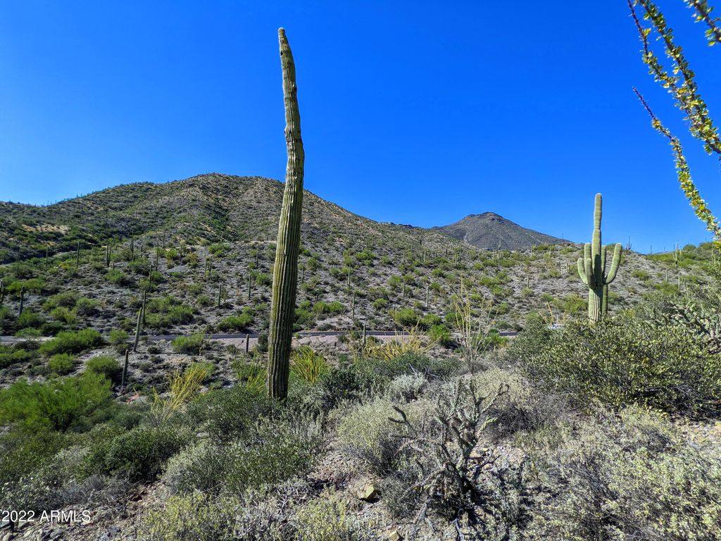 Image 2 of property listing at 41347 N Longhorn Drive -, Scottsdale, AZ 85262