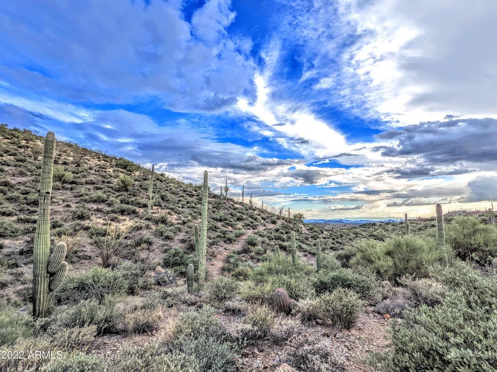 Image 4 of property listing at 41347 N Longhorn Drive -, Scottsdale, AZ 85262