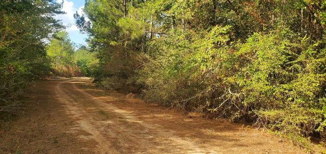 Lot 26 & 27 Eagle Drive, Hempstead, TX 77445