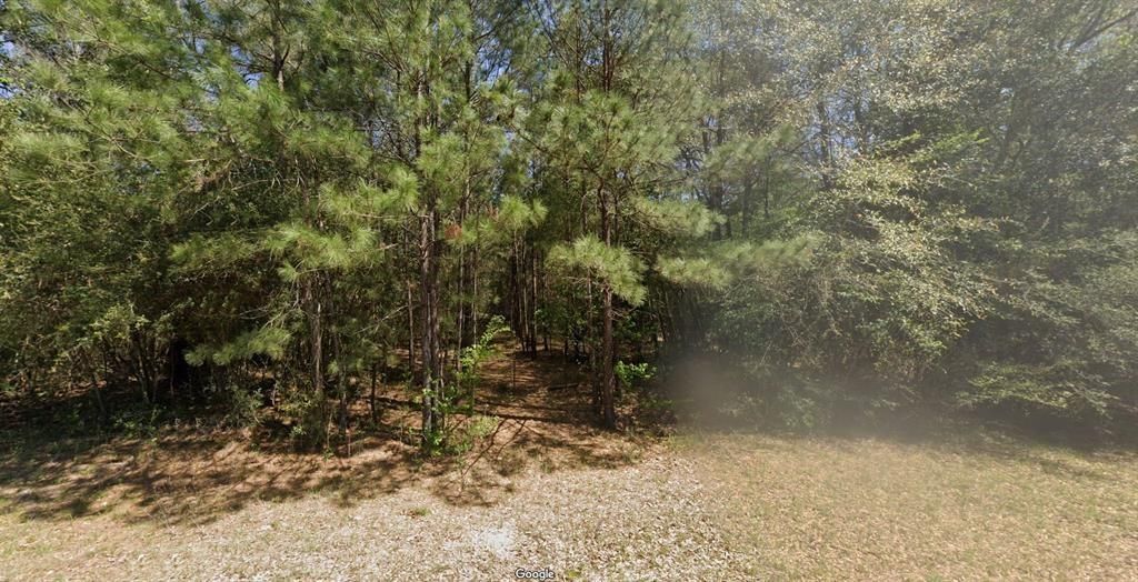 00 Middle Parkway Dr, Conroe, TX 77302