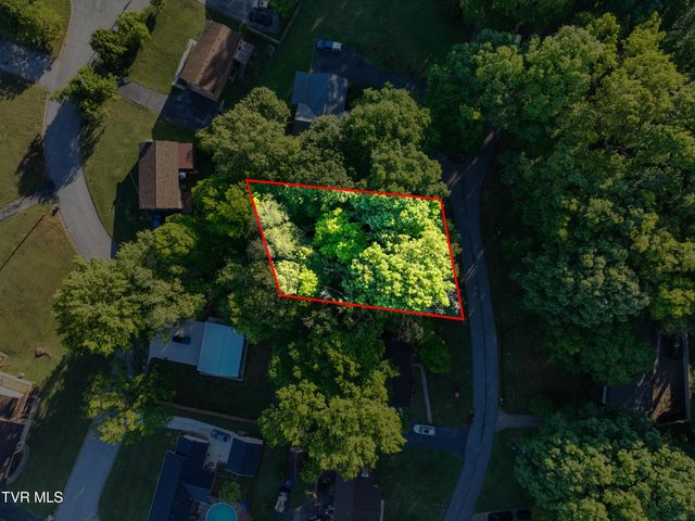 Tbd Kings Mountain Drive, Church Hill, TN 37642