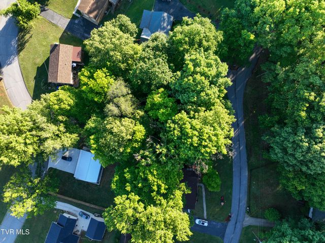 Tbd Kings Mountain Drive, Church Hill, TN 37642
