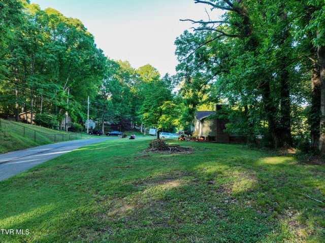 Tbd Kings Mountain Drive, Church Hill, TN 37642