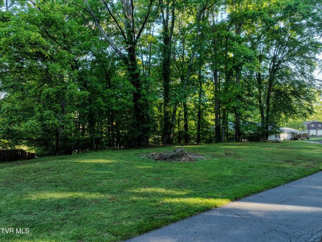 Tbd Kings Mountain Drive, Church Hill, TN 37642