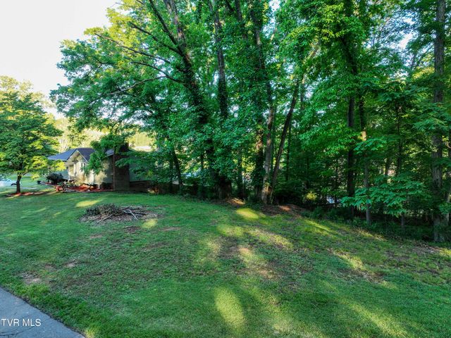 Tbd Kings Mountain Drive, Church Hill, TN 37642