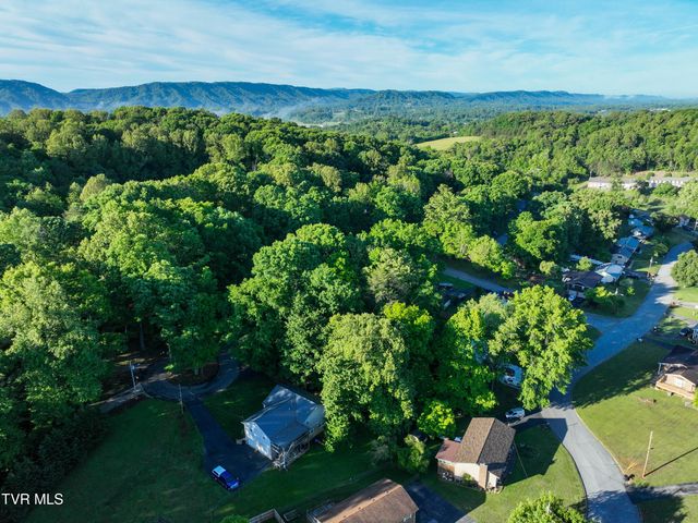 Tbd Kings Mountain Drive, Church Hill, TN 37642