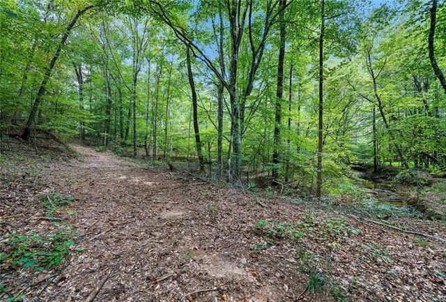 857 Jack Page Drive, Canton, GA 30115