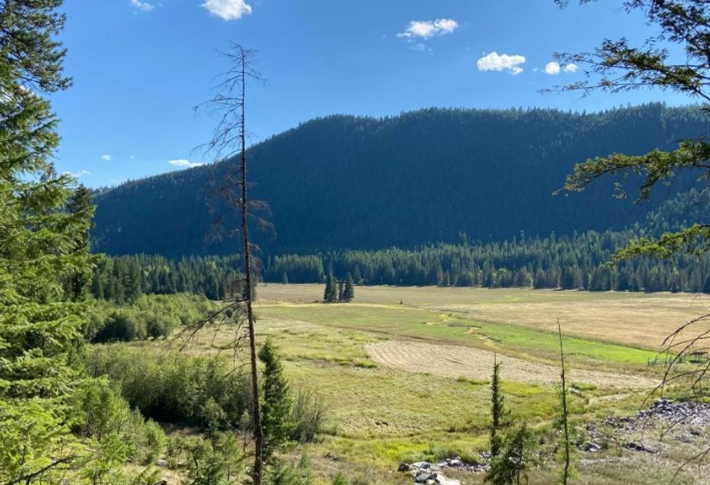 2398 Pine Creek Road, Yaak, MT 59935