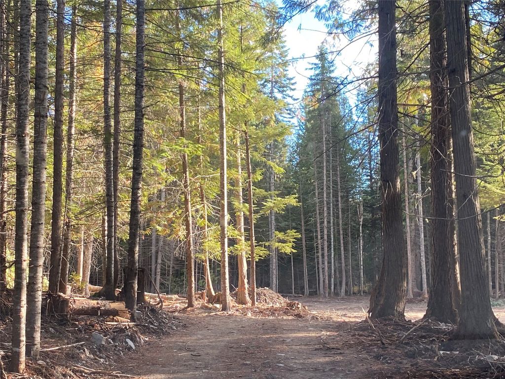 2398 Pine Creek Road, Yaak, MT 59935 photo 14