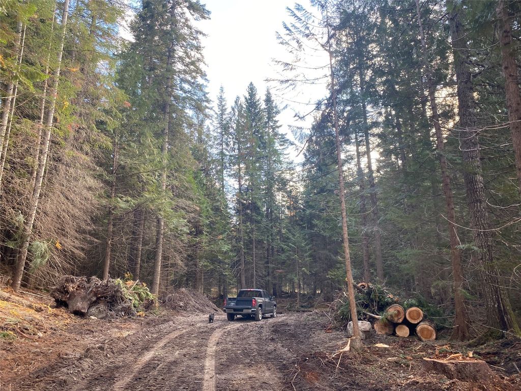 2398 Pine Creek Road, Yaak, MT 59935 photo 17