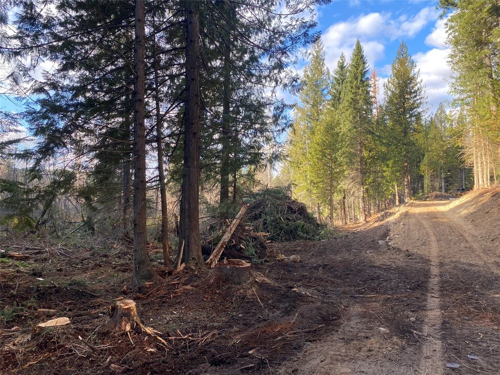 2398 Pine Creek Road, Yaak, MT 59935 photo 18