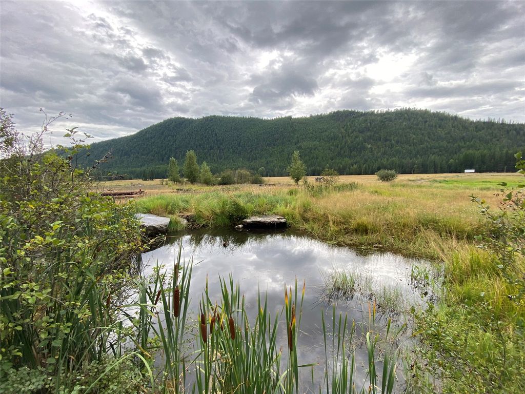 2398 Pine Creek Road, Yaak, MT 59935 photo 2
