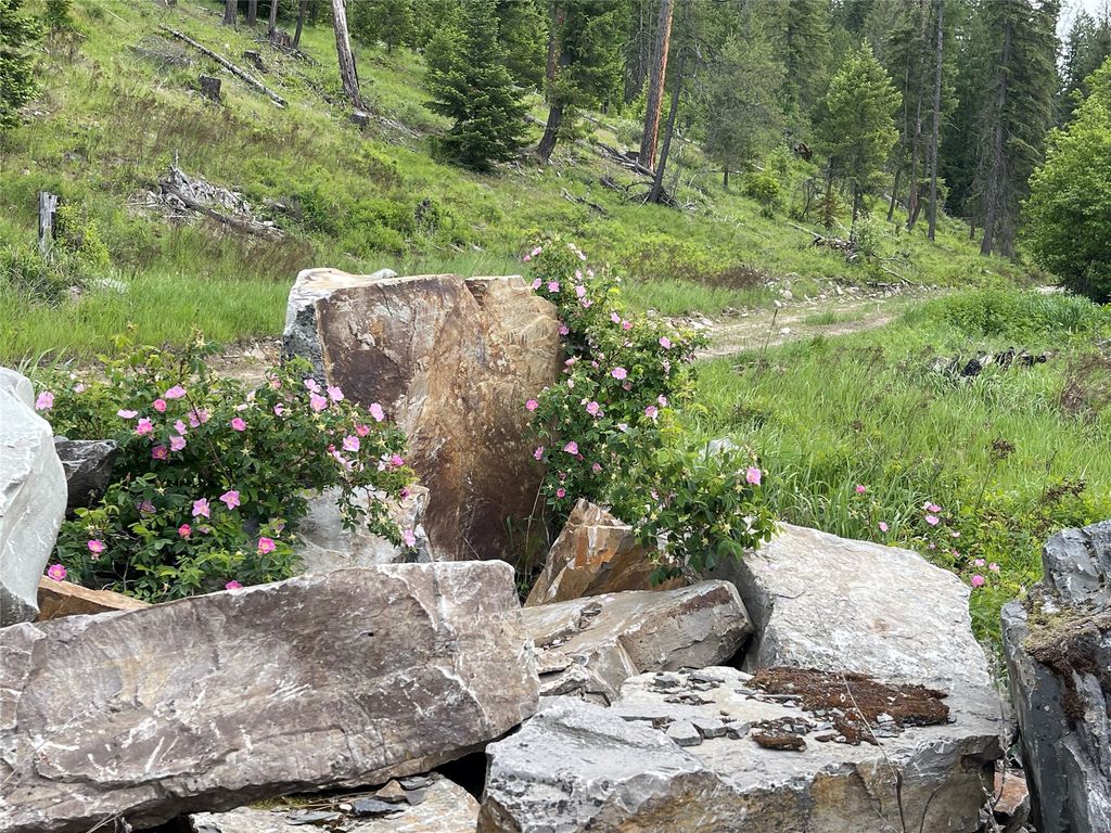 2398 Pine Creek Road, Yaak, MT 59935 photo 21