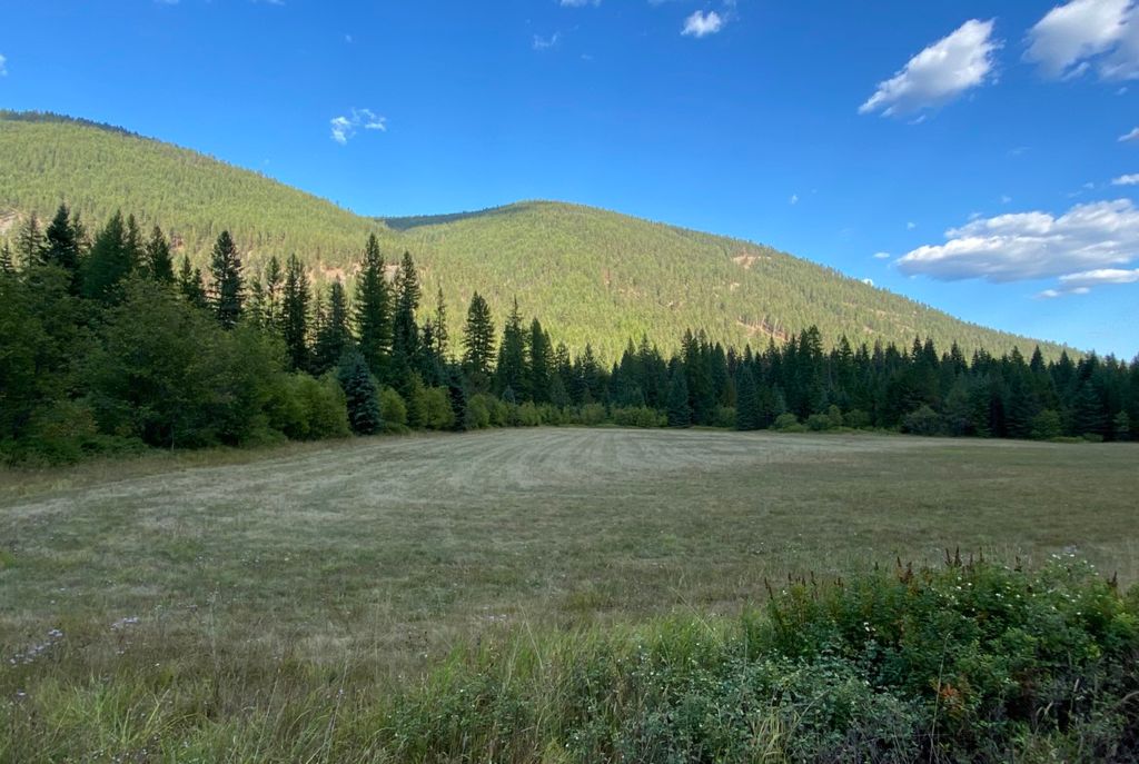 2398 Pine Creek Road, Yaak, MT 59935 photo 3