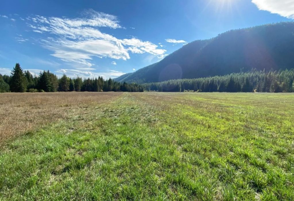 2398 Pine Creek Road, Yaak, MT 59935 photo 36