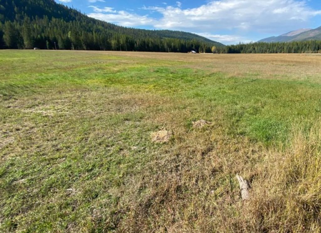 2398 Pine Creek Road, Yaak, MT 59935 photo 40