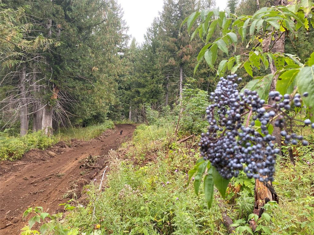 2398 Pine Creek Road, Yaak, MT 59935 photo 8