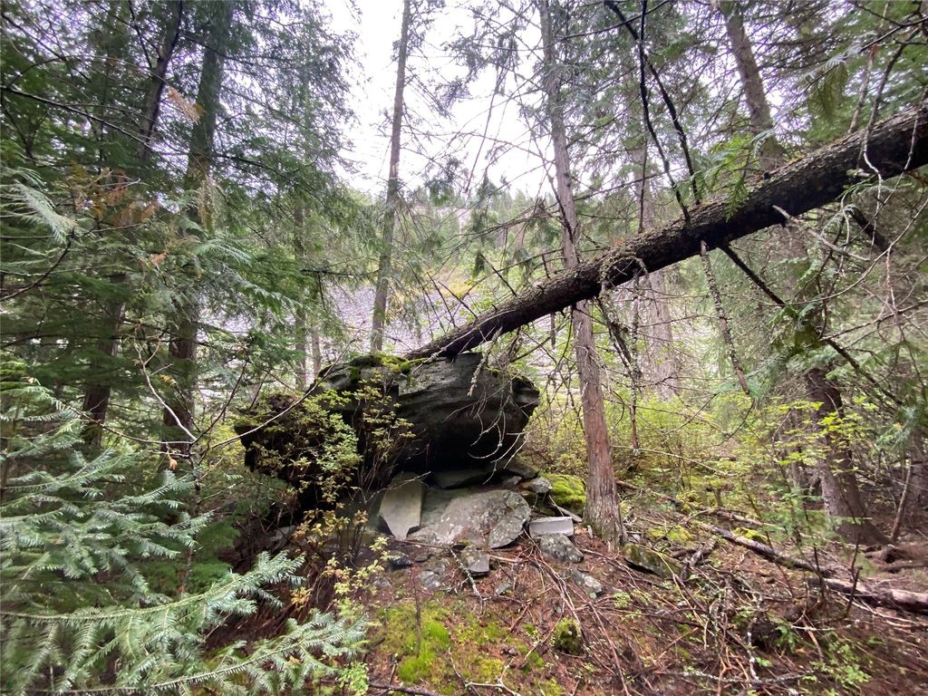 2398 Pine Creek Road, Yaak, MT 59935 photo 9