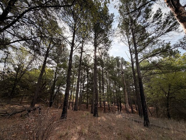 2548 County Road 2690, Alvord, TX 76225