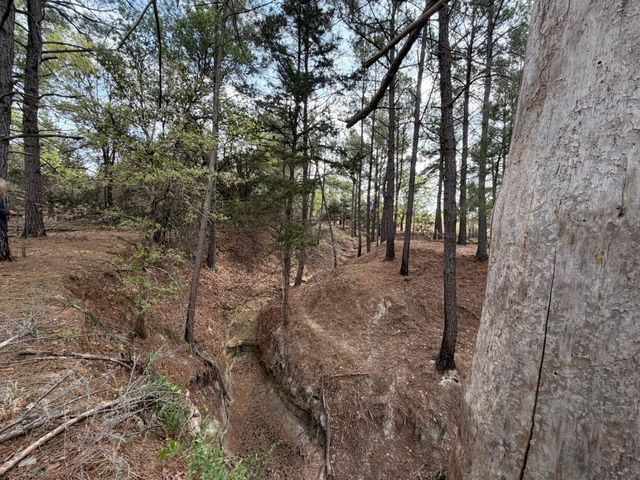 2548 County Road 2690, Alvord, TX 76225