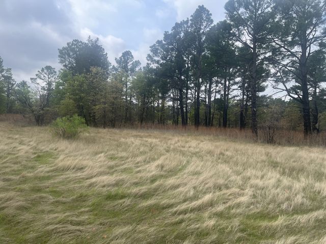 2548 County Road 2690, Alvord, TX 76225