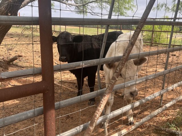 2548 County Road 2690, Alvord, TX 76225