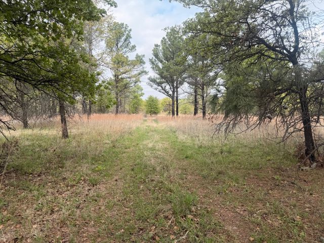 2548 County Road 2690, Alvord, TX 76225
